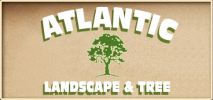 Atlantic Landscape & Tree